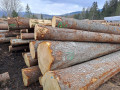 img-20230321-wa0009.jpg
