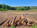 img-20260724-wa0015.jpg
