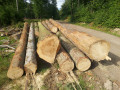 img-20260724-wa0021.jpg