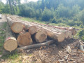 img-20260724-wa0019.jpg