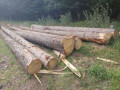 img-20260724-wa0023.jpg