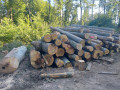 img-20260724-wa0005.jpg