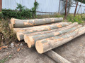 img-20260727-wa0000.jpg