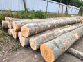 img-20260727-wa0002.jpg
