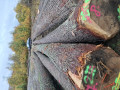 20261022_120409.jpg