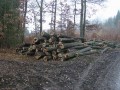 pb230081.jpg