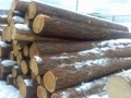 25012012094.jpg