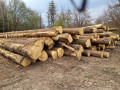 20230424_085736.jpg