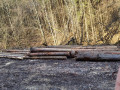 20230404_084723.jpg