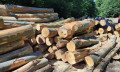 img-20250702-wa0011.jpg