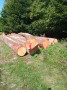 img-20250909-wa0018.jpg