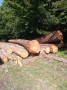 img-20250909-wa0022.jpg