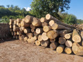 img-20250909-wa0001.jpg