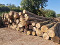 img-20250909-wa0002.jpg