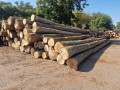 img-20250909-wa0003.jpg
