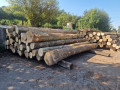 img-20250909-wa0005.jpg