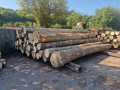 img-20250909-wa0006.jpg