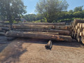 img-20250909-wa0007.jpg