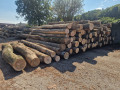 img-20250909-wa0008.jpg