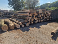 img-20250909-wa0009.jpg