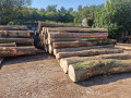img-20250909-wa0010.jpg