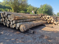 img-20250909-wa0011.jpg