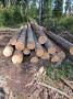 img-20250911-wa0000.jpg