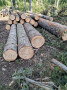 img-20250911-wa0001.jpg