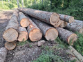 img-20250911-wa0002.jpg