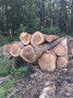 img-20250911-wa0003.jpg