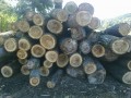 28082012319.jpg