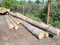 img-20260514-wa0004.jpg