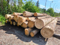 img-20260514-wa0008.jpg