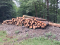 img-20260611-wa0015.jpg