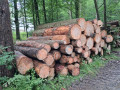img-20260611-wa0019.jpg