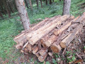 20260708_083246.jpg