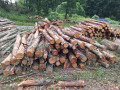 20260708_085223.jpg