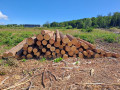 img-20260724-wa0019.jpg