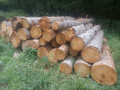 img-20260724-wa0026.jpg
