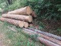 img-20260724-wa0017.jpg
