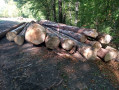 img-20260904-wa0029.jpg
