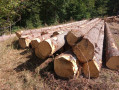 img-20260904-wa0027.jpg