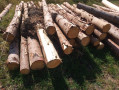 img-20260904-wa0023.jpg