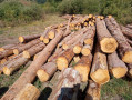 img-20260904-wa0021.jpg