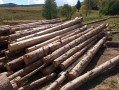img-20260904-wa0030.jpg