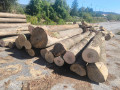 img-20260908-wa0022.jpg