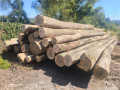 img-20260908-wa0019.jpg