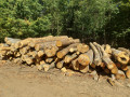 img-20260909-wa0007.jpg