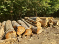 img-20260909-wa0008.jpg
