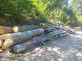 img-20260909-wa0009.jpg